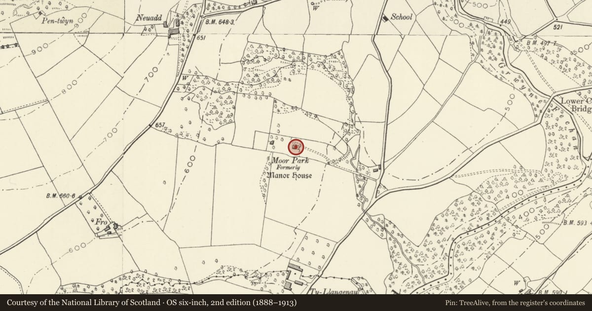 Ordnance Survey six-inch map, 2nd edition (1888–1913) covering the location of Moor Park, The Vale of Grwyney, Powys, with a pin at the register's coordinates