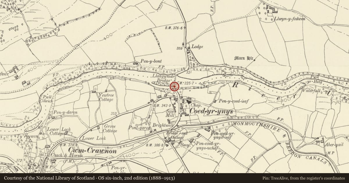 Ordnance Survey six-inch map, 2nd edition (1888–1913) covering the location of Llangynidr Bridge (partly in Llanfihangel Cwmdu with Bwlch and Cathedine community), Powys, with a pin at the register's coordinates