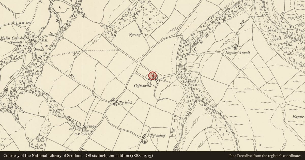 Ordnance Survey six-inch map, 2nd edition (1888–1913) covering the location of Cefn Brith, Llangamarch, Powys, with a pin at the register's coordinates