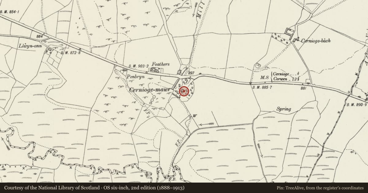 Ordnance Survey six-inch map, 2nd edition (1888–1913) covering the location of Cernioge Farmhouse (Cerniogau-mawr), Pentrefoelas, Conwy, with a pin at the register's coordinates