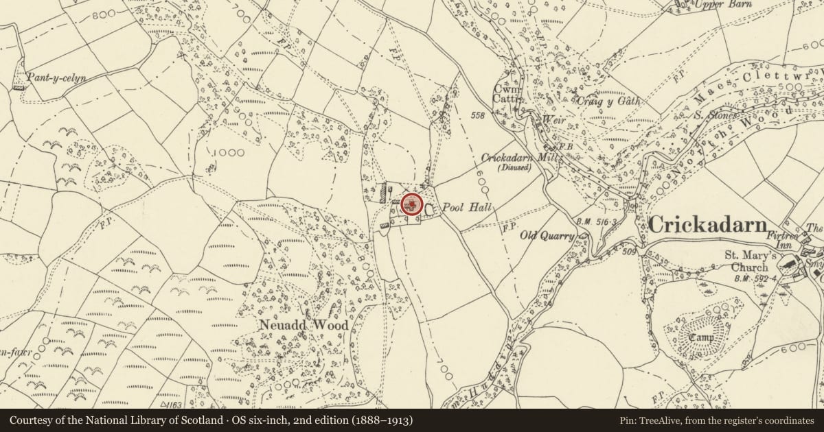 Ordnance Survey six-inch map, 2nd edition (1888–1913) covering the location of The Neuadd, Erwood, Powys, with a pin at the register's coordinates
