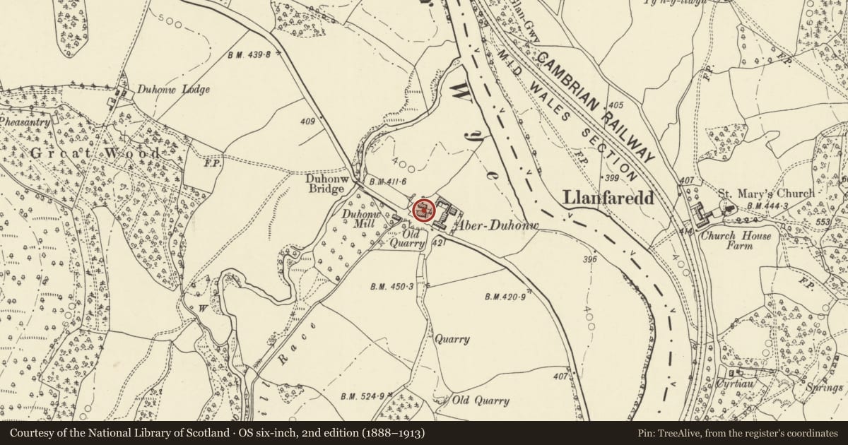 Ordnance Survey six-inch map, 2nd edition (1888–1913) covering the location of Aberduhonw, Powys, with a pin at the register's coordinates
