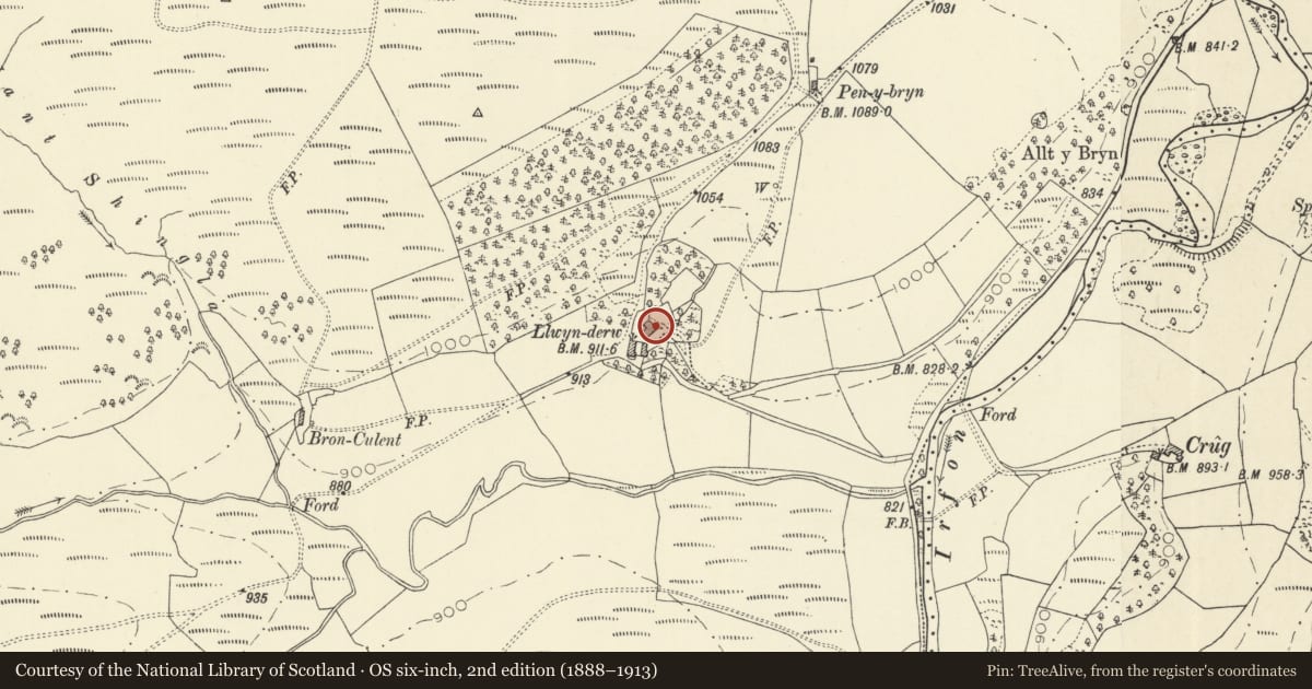 Ordnance Survey six-inch map, 2nd edition (1888–1913) covering the location of Llwyn-Derw, Llanwrtyd Wells, Powys, with a pin at the register's coordinates