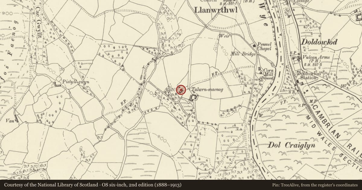 Ordnance Survey six-inch map, 2nd edition (1888–1913) covering the location of Talwrnmaenog Farmhouse, Llanwrthwl, Powys, with a pin at the register's coordinates