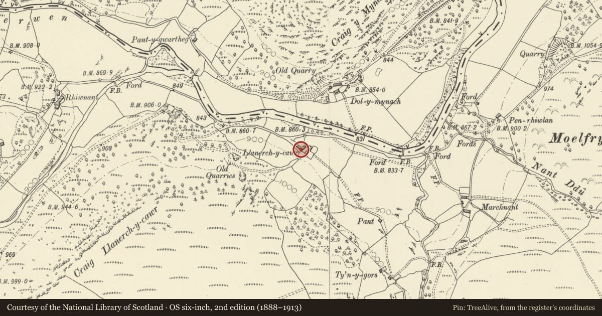 Ordnance Survey six-inch map, 2nd edition (1888–1913) covering the location of Llannerch-y-Cawr, Llanwrthwl, Powys, with a pin at the register's coordinates