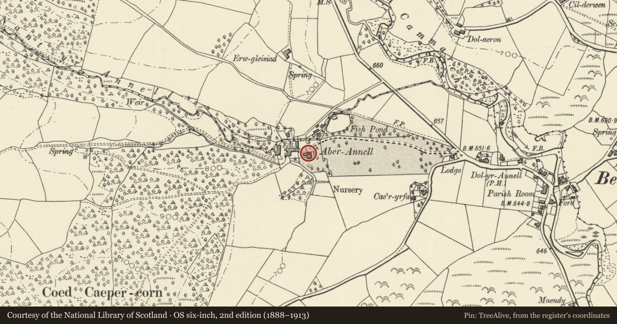 Ordnance Survey six-inch map, 2nd edition (1888–1913) covering the location of The Old Vicarage, Treflys, Powys, with a pin at the register's coordinates