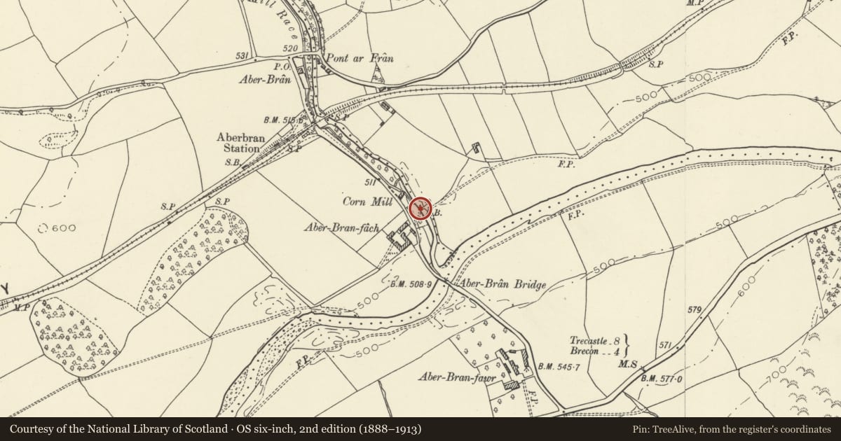 Ordnance Survey six-inch map, 2nd edition (1888–1913) covering the location of Bridge over Nant Bran near Aberbran-fach Farm (partly in Yscir community), Trallong, Powys, with a pin at the register's coordinates