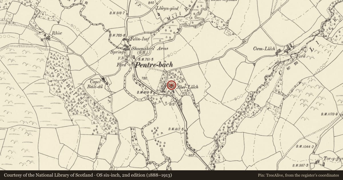 Ordnance Survey six-inch map, 2nd edition (1888–1913) covering the location of Aberllech, Maescar, Powys, with a pin at the register's coordinates
