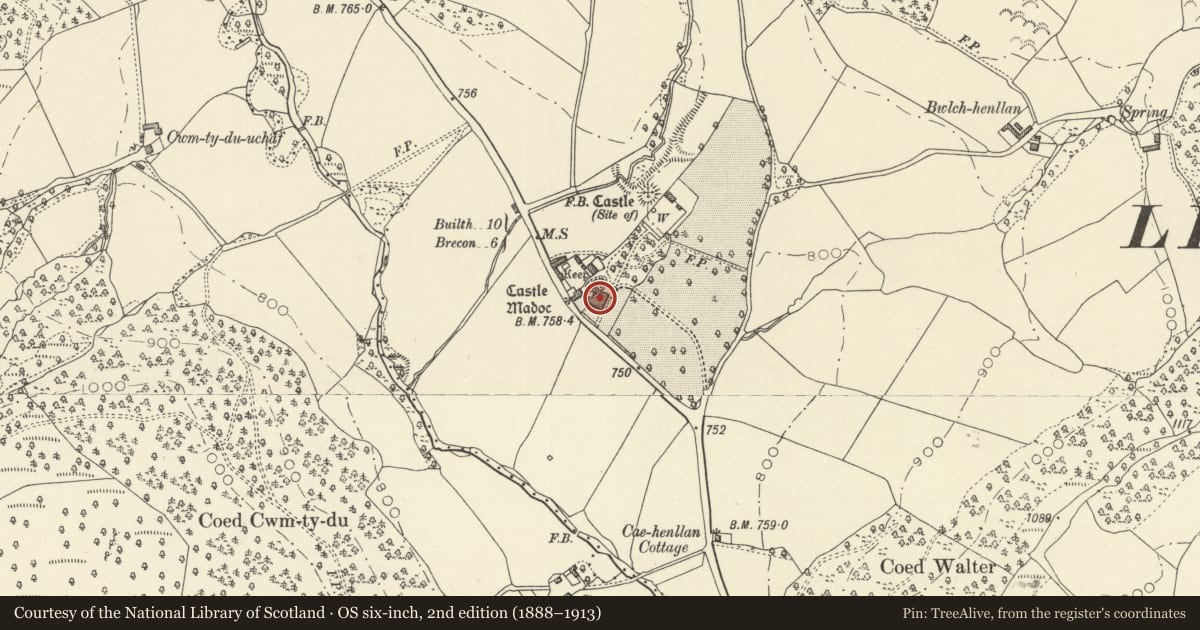 Ordnance Survey six-inch map, 2nd edition (1888–1913) covering the location of Castell Madoc, Honddu Isaf, Powys, with a pin at the register's coordinates