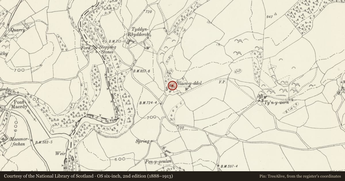Ordnance Survey six-inch map, 2nd edition (1888–1913) covering the location of Blaenddol House, Corwen, Denbighshire, with a pin at the register's coordinates