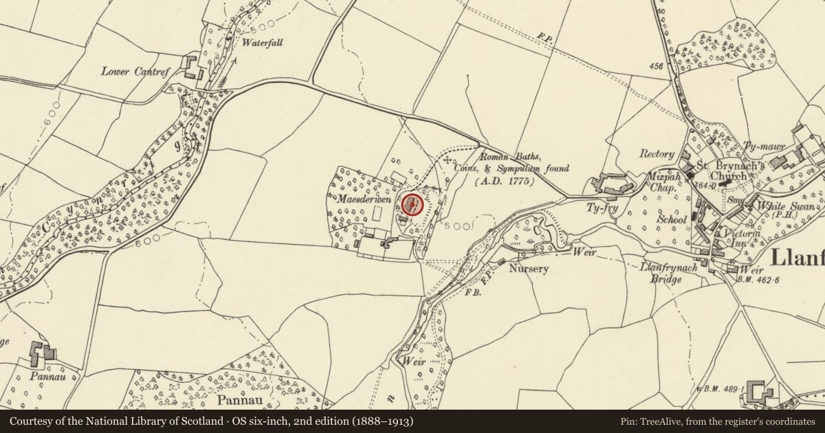 Ordnance Survey six-inch map, 2nd edition (1888–1913) covering the location of Maesderwen, Llanfrynach, Powys, with a pin at the register's coordinates