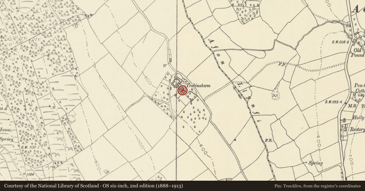Ordnance Survey six-inch map, 2nd edition (1888–1913) covering the location of Trebinshwn house and attached stable wing, Llangors, Powys, with a pin at the register's coordinates