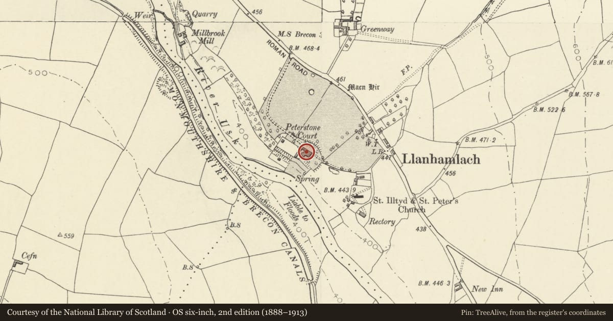 Ordnance Survey six-inch map, 2nd edition (1888–1913) covering the location of Peterstone Court, Llanfrynach, Powys, with a pin at the register's coordinates