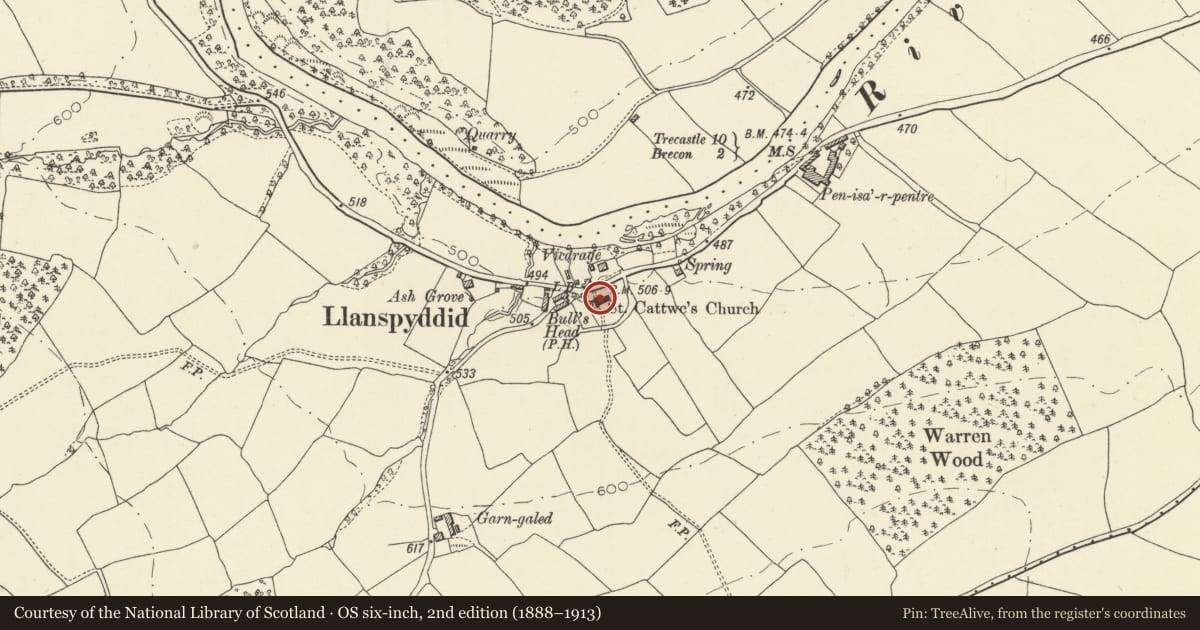 Ordnance Survey six-inch map, 2nd edition (1888–1913) covering the location of Church of St Cattwg, Glyn Tarell, Powys, with a pin at the register's coordinates