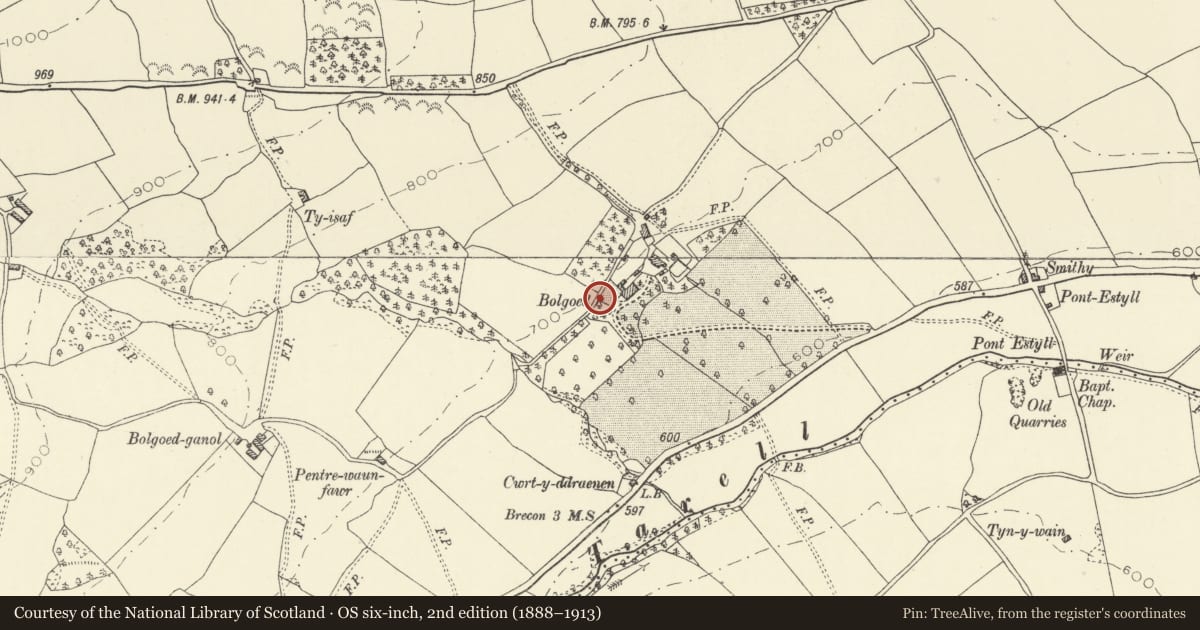 Ordnance Survey six-inch map, 2nd edition (1888–1913) covering the location of Dovecote at Bolgoed, Glyn Tarell, Powys, with a pin at the register's coordinates
