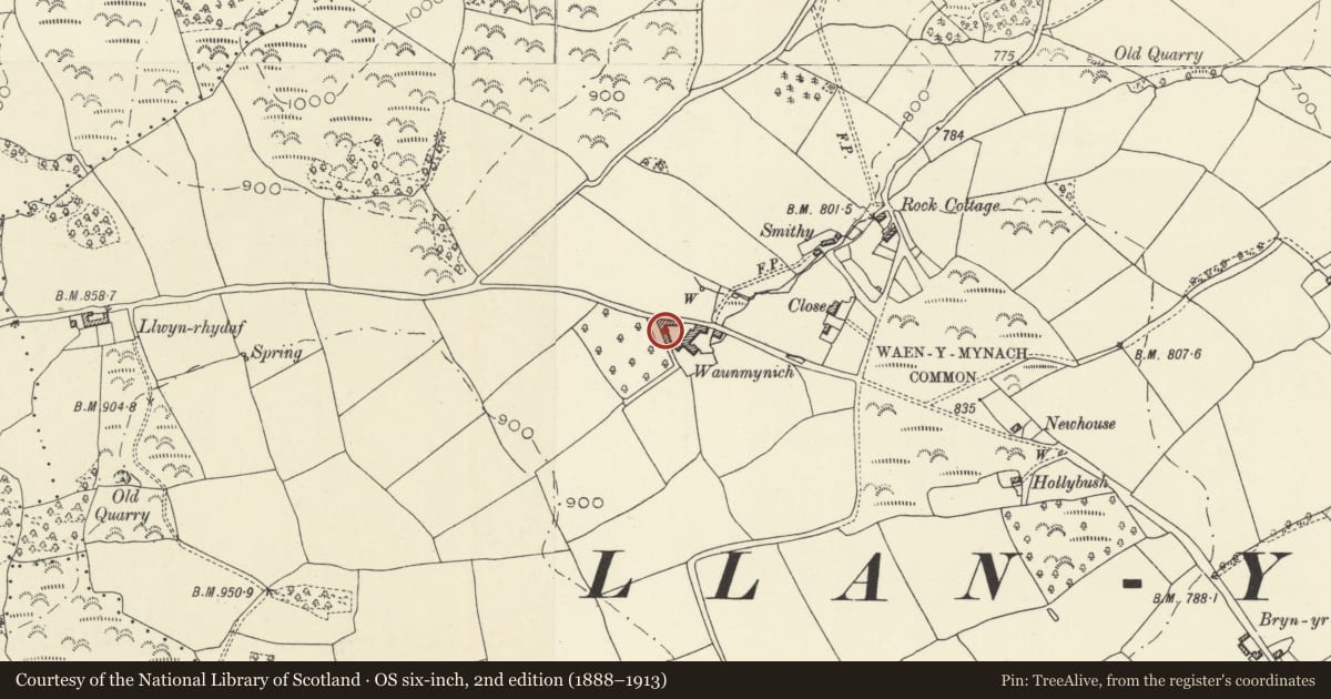 Ordnance Survey six-inch map, 2nd edition (1888–1913) covering the location of Barn at Waunmynich, Llangors, Powys, with a pin at the register's coordinates