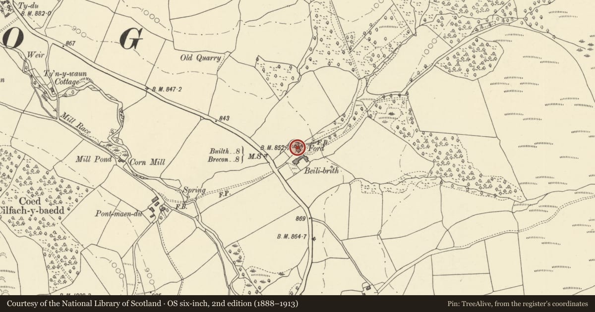 Ordnance Survey six-inch map, 2nd edition (1888–1913) covering the location of Bailybrith, Merthyr Cynog, Powys, with a pin at the register's coordinates