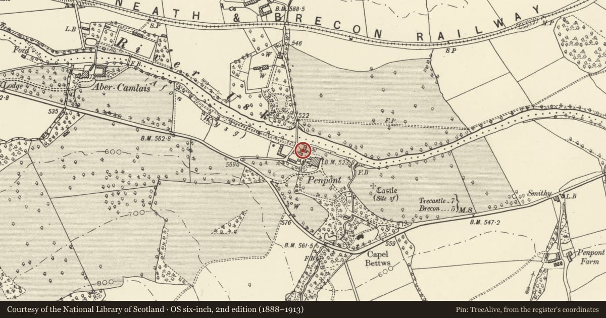Ordnance Survey six-inch map, 2nd edition (1888–1913) covering the location of The Old Granary and the Old Laundry, Trallong, Powys, with a pin at the register's coordinates