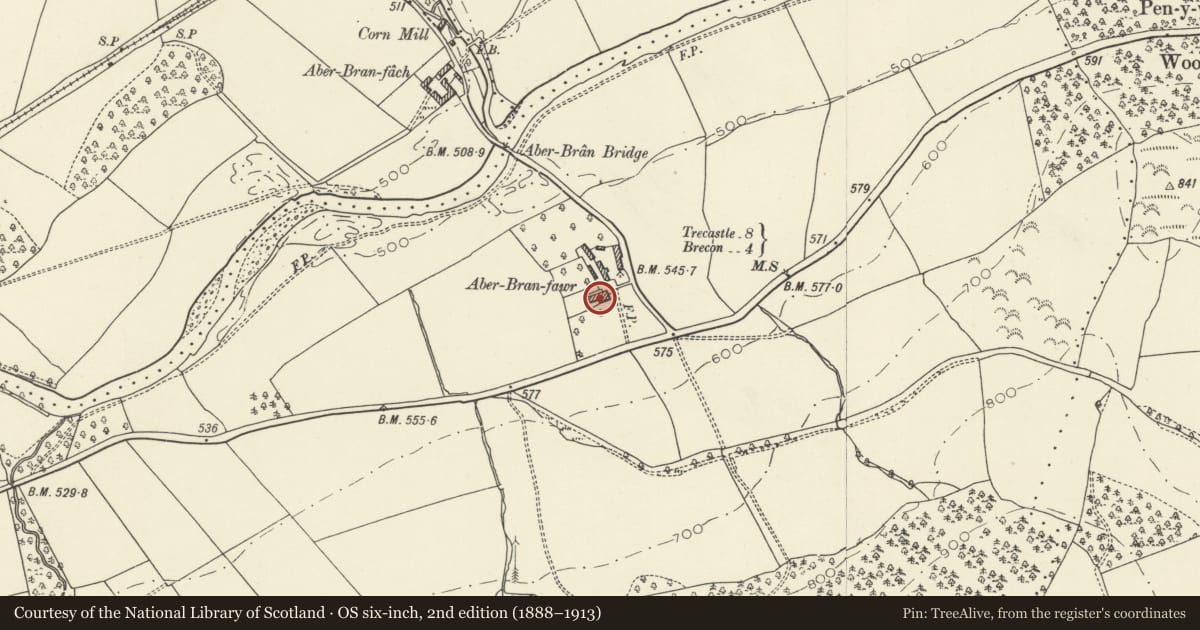 Ordnance Survey six-inch map, 2nd edition (1888–1913) covering the location of Aberbran Fawr, Trallong, Powys, with a pin at the register's coordinates