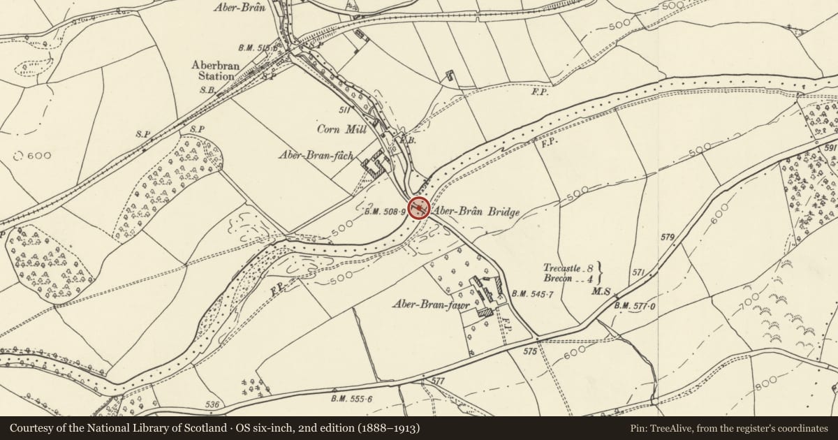 Ordnance Survey six-inch map, 2nd edition (1888–1913) covering the location of Aberbran Bridge/Pont Aberbran, Trallong, Powys, with a pin at the register's coordinates