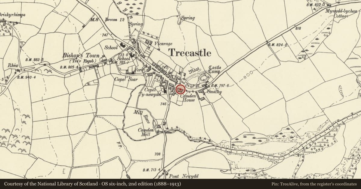 Ordnance Survey six-inch map, 2nd edition (1888–1913) covering the location of Neuadd, Llywel, Powys, with a pin at the register's coordinates