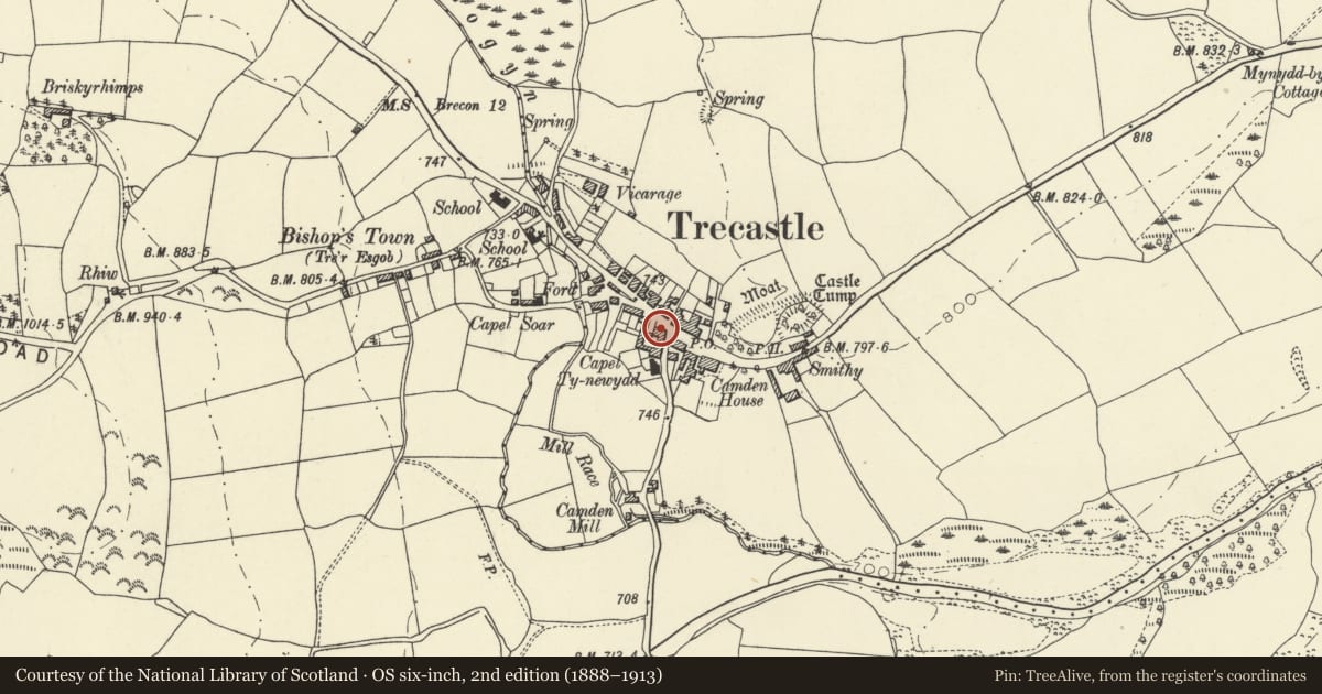 Ordnance Survey six-inch map, 2nd edition (1888–1913) covering the location of The Castle Inn, Llywel, Powys, with a pin at the register's coordinates