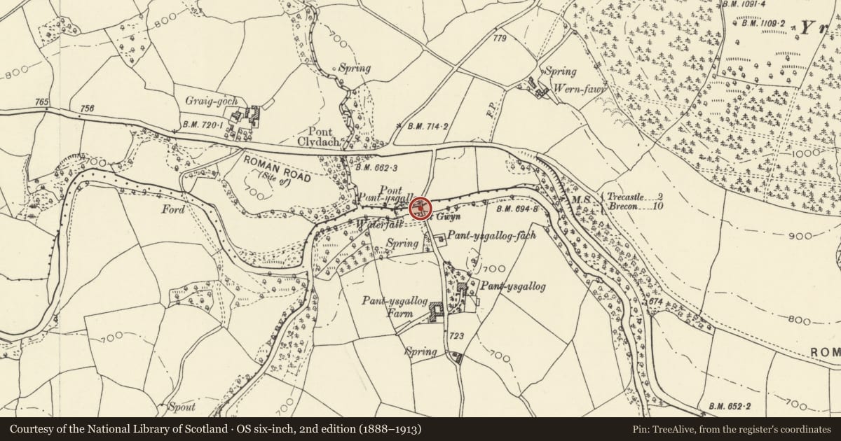 Ordnance Survey six-inch map, 2nd edition (1888–1913) covering the location of Pont Pantysgallog (partly in Llywel community), Cray, Powys, with a pin at the register's coordinates