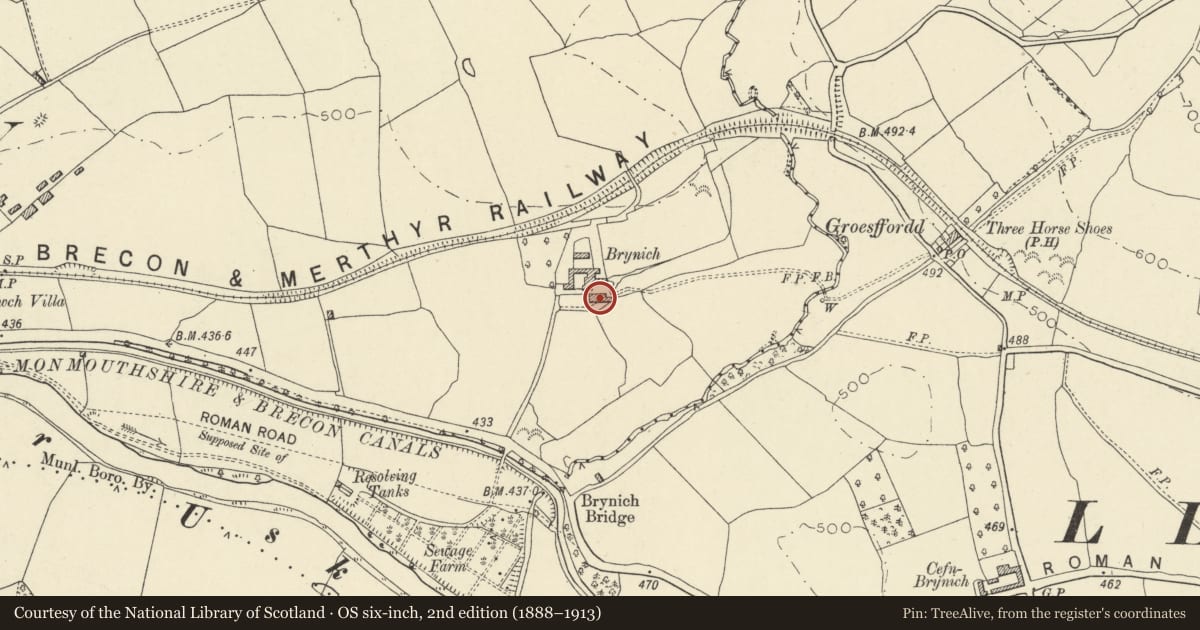 Ordnance Survey six-inch map, 2nd edition (1888–1913) covering the location of Brynich Farmhouse, Brecon, Powys, with a pin at the register's coordinates