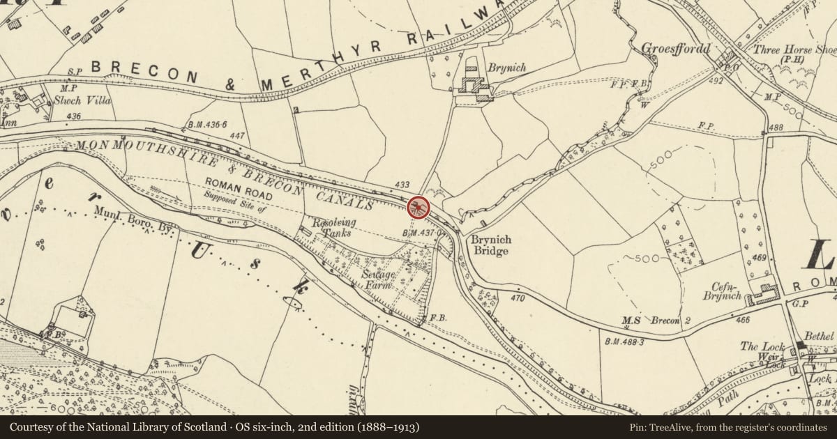 Ordnance Survey six-inch map, 2nd edition (1888–1913) covering the location of Canal Bridge on S side of A40, Brecon, Powys, with a pin at the register's coordinates