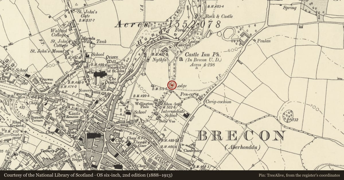Ordnance Survey six-inch map, 2nd edition (1888–1913) covering the location of Penlan Lodge, including railings and gate, Brecon, Powys, with a pin at the register's coordinates