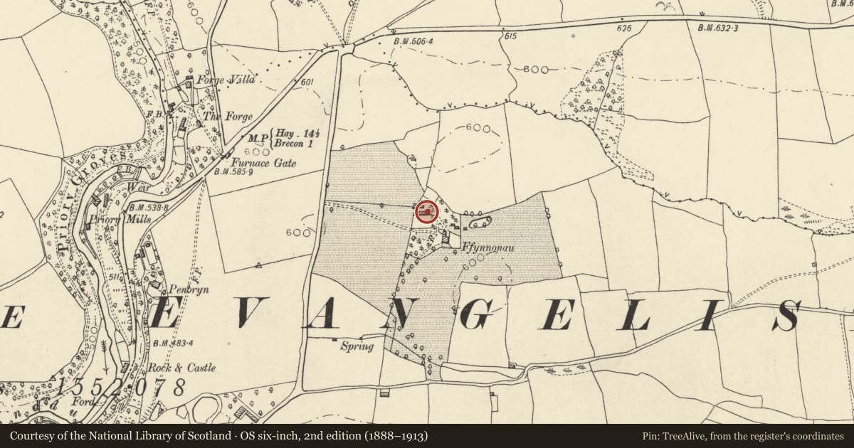 Ordnance Survey six-inch map, 2nd edition (1888–1913) covering the location of Ffynnonau Cottage, Brecon, Powys, with a pin at the register's coordinates