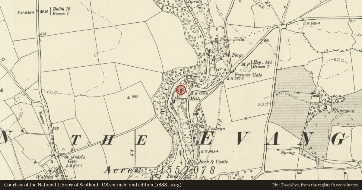 Ordnance Survey six-inch map, 2nd edition (1888–1913) covering the location of Priory Mill House, Llanddew, Powys, with a pin at the register's coordinates