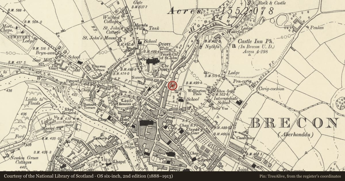 Ordnance Survey six-inch map, 2nd edition (1888–1913) covering the location of No.1 King Street including dwarf walls and iron railings, Brecon, Powys, with a pin at the register's coordinates