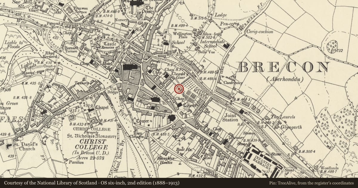 Ordnance Survey six-inch map, 2nd edition (1888–1913) covering the location of Rear Garden Walls of No.4 Lion Street, Brecon, Powys, with a pin at the register's coordinates