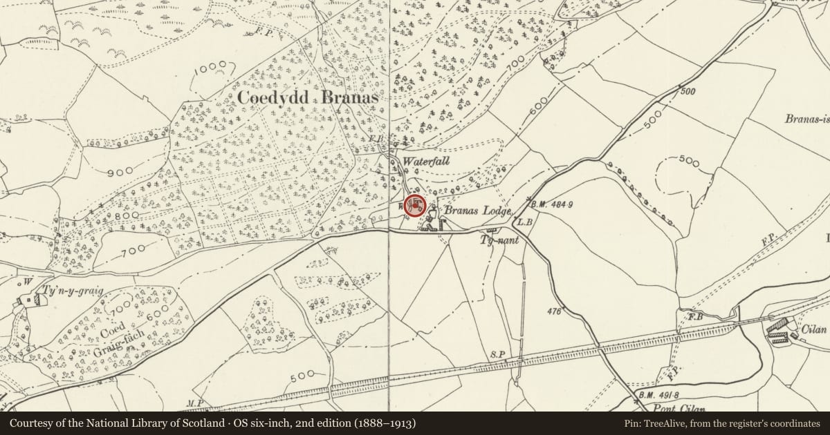 Ordnance Survey six-inch map, 2nd edition (1888–1913) covering the location of Branas Lodge, Llandrillo, Denbighshire, with a pin at the register's coordinates
