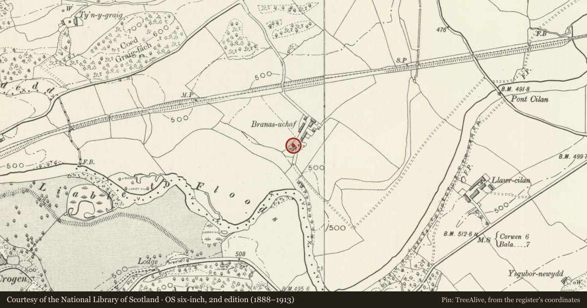 Ordnance Survey six-inch map, 2nd edition (1888–1913) covering the location of Branas Uchaf, Llandrillo, Denbighshire, with a pin at the register's coordinates