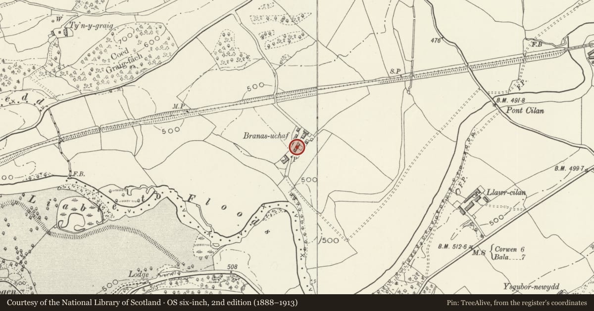 Ordnance Survey six-inch map, 2nd edition (1888–1913) covering the location of Barn at Branas Uchaf, Llandrillo, Denbighshire, with a pin at the register's coordinates