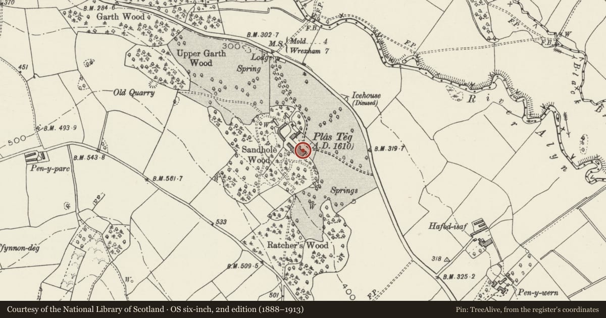 Ordnance Survey six-inch map, 2nd edition (1888–1913) covering the location of Plas Teg, Hope, Flintshire, with a pin at the register's coordinates