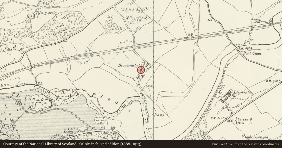 Ordnance Survey six-inch map, 2nd edition (1888–1913) covering the location of Multi-purpose Farm Building at Branas Uchaf, Llandrillo, Denbighshire, with a pin at the register's coordinates