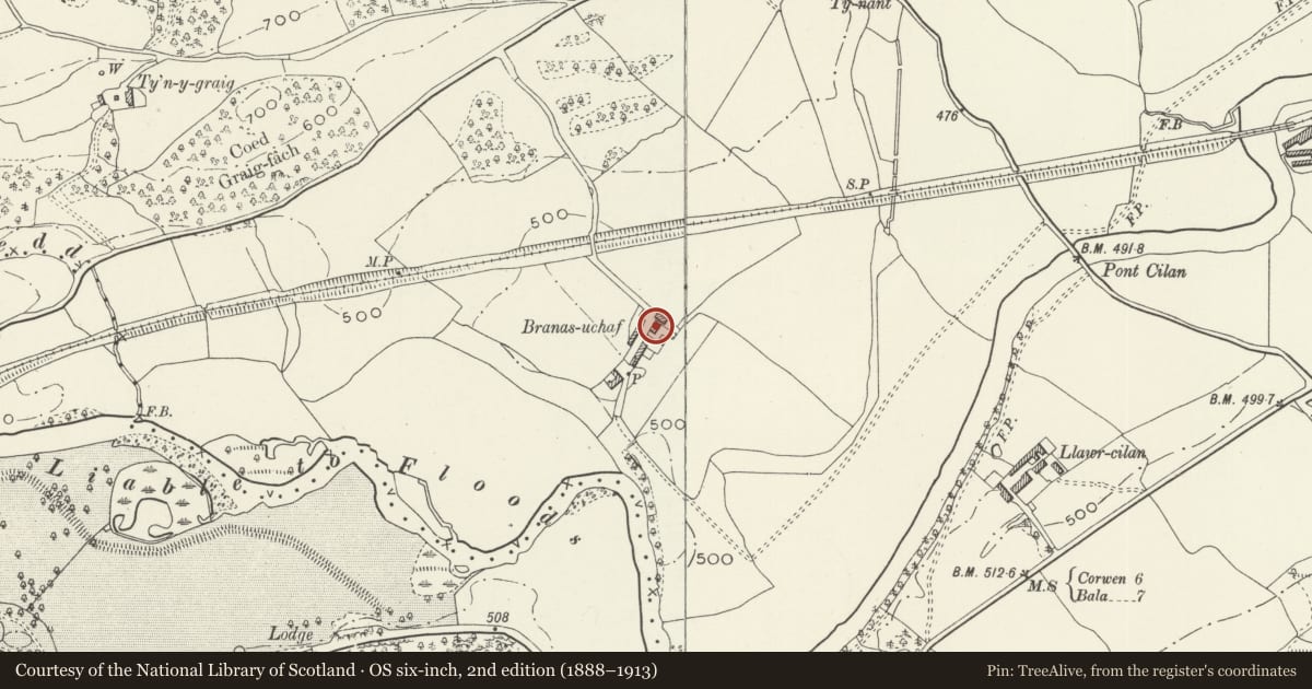 Ordnance Survey six-inch map, 2nd edition (1888–1913) covering the location of Cow-house at Branas Uchaf, Llandrillo, Denbighshire, with a pin at the register's coordinates