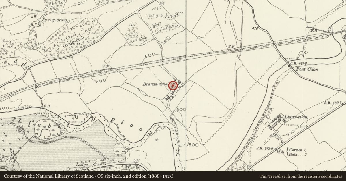 Ordnance Survey six-inch map, 2nd edition (1888–1913) covering the location of Hayshed at Branas Uchaf, Llandrillo, Denbighshire, with a pin at the register's coordinates