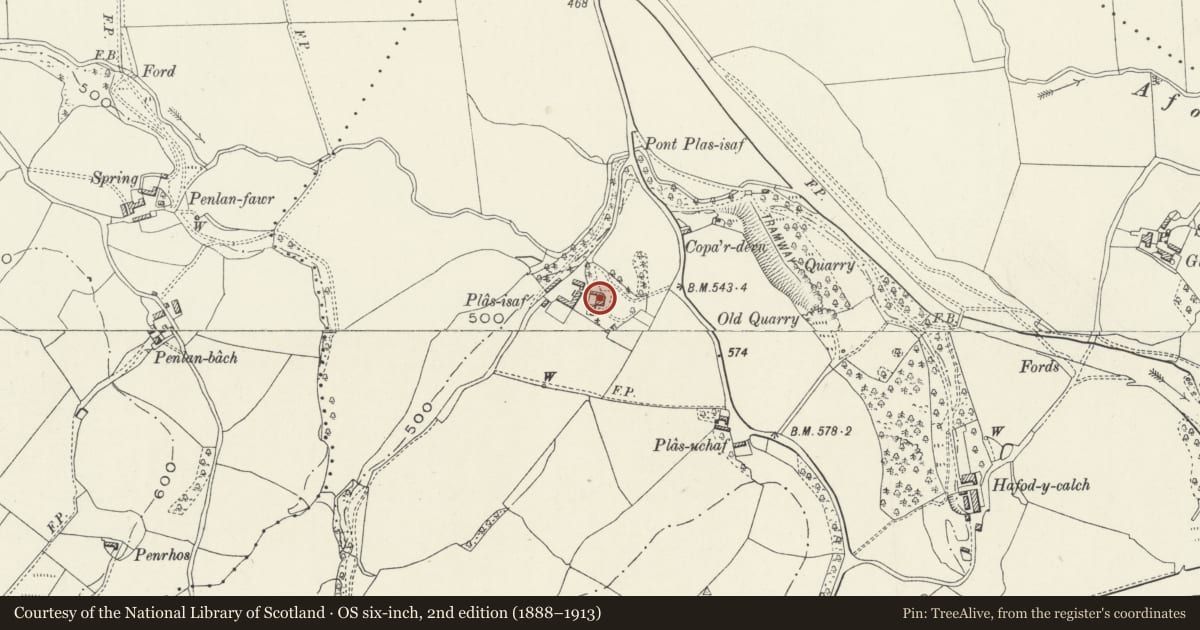 Ordnance Survey six-inch map, 2nd edition (1888–1913) covering the location of Plas Isaf, Cynwyd, Denbighshire, with a pin at the register's coordinates