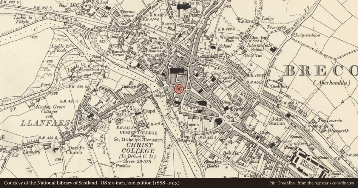 Ordnance Survey six-inch map, 2nd edition (1888–1913) covering the location of 17 Ship Street, Brecon, Powys, with a pin at the register's coordinates