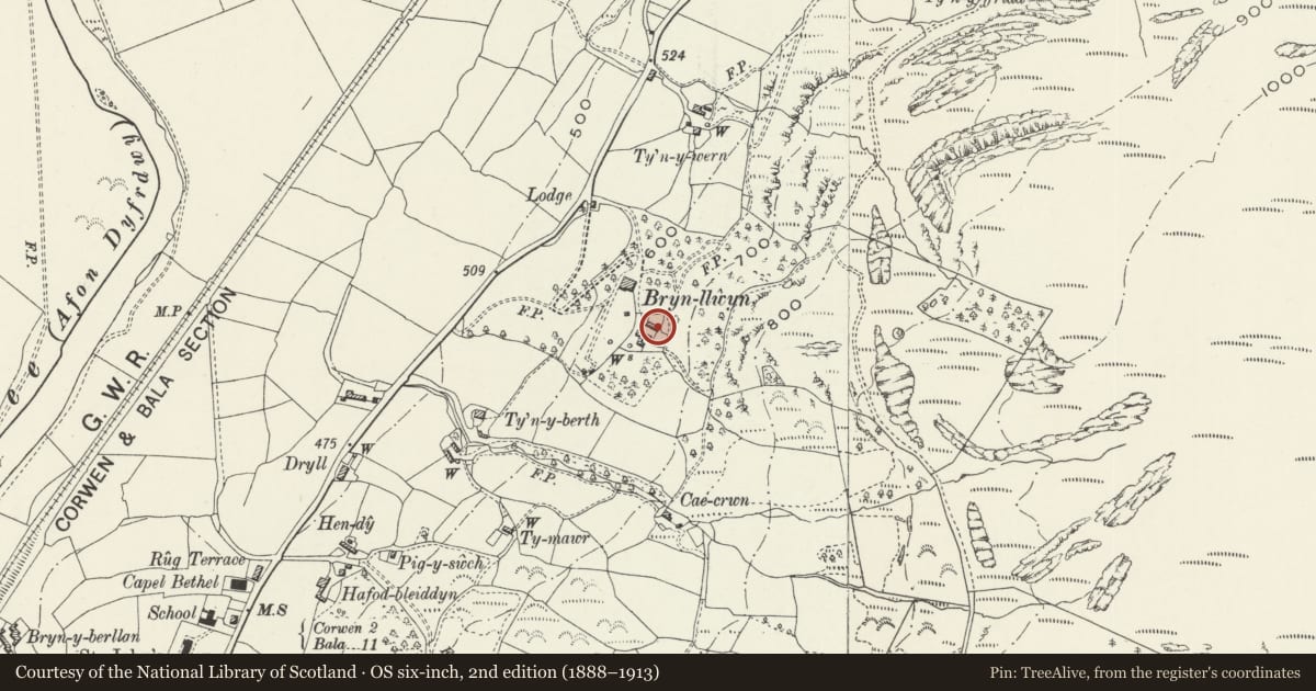 Ordnance Survey six-inch map, 2nd edition (1888–1913) covering the location of Ty'n y Llwyn, Cynwyd, Denbighshire, with a pin at the register's coordinates