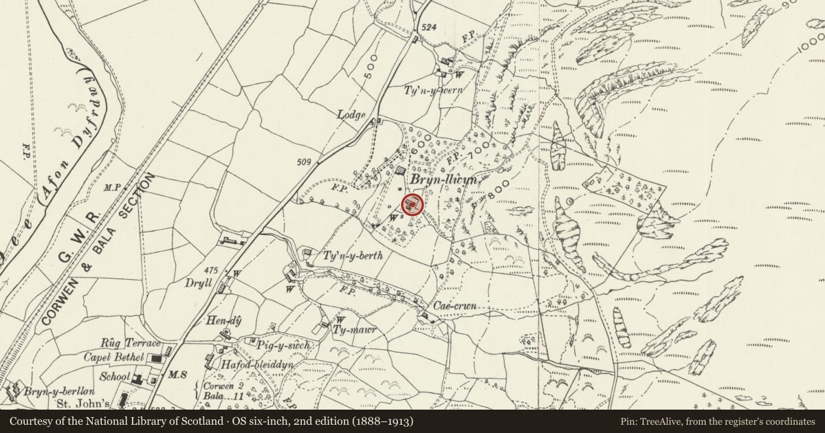 Ordnance Survey six-inch map, 2nd edition (1888–1913) covering the location of Former Cottage & Outbuildings at Ty'n y Llwyn, Cynwyd, Denbighshire, with a pin at the register's coordinates