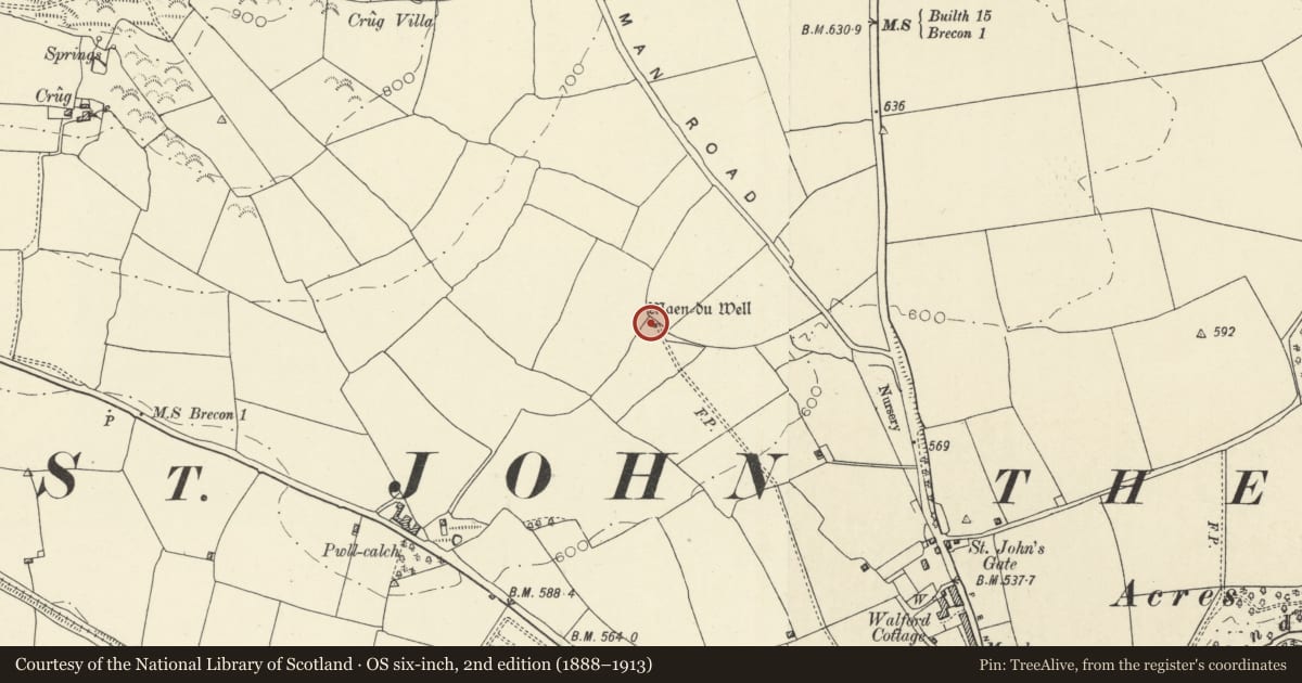 Ordnance Survey six-inch map, 2nd edition (1888–1913) covering the location of Maen-Du Well, Brecon, Powys, with a pin at the register's coordinates