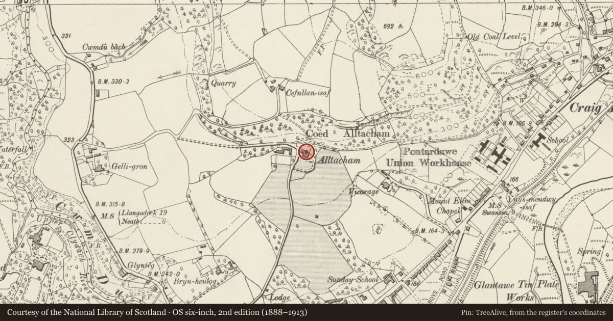 Ordnance Survey six-inch map, 2nd edition (1888–1913) covering the location of Alltycham House, Pontardawe, Neath Port Talbot, with a pin at the register's coordinates