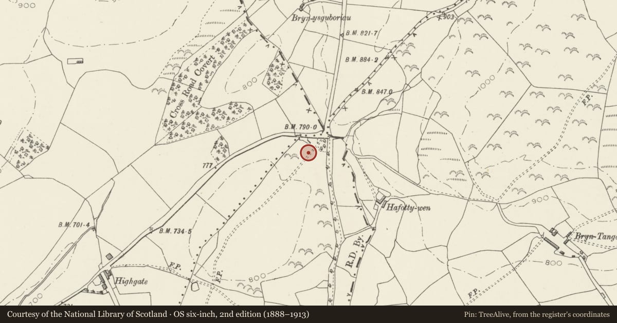 Ordnance Survey six-inch map, 2nd edition (1888–1913) covering the location of Bwrdd y Tri Arglwydd, Corwen, Denbighshire, with a pin at the register's coordinates