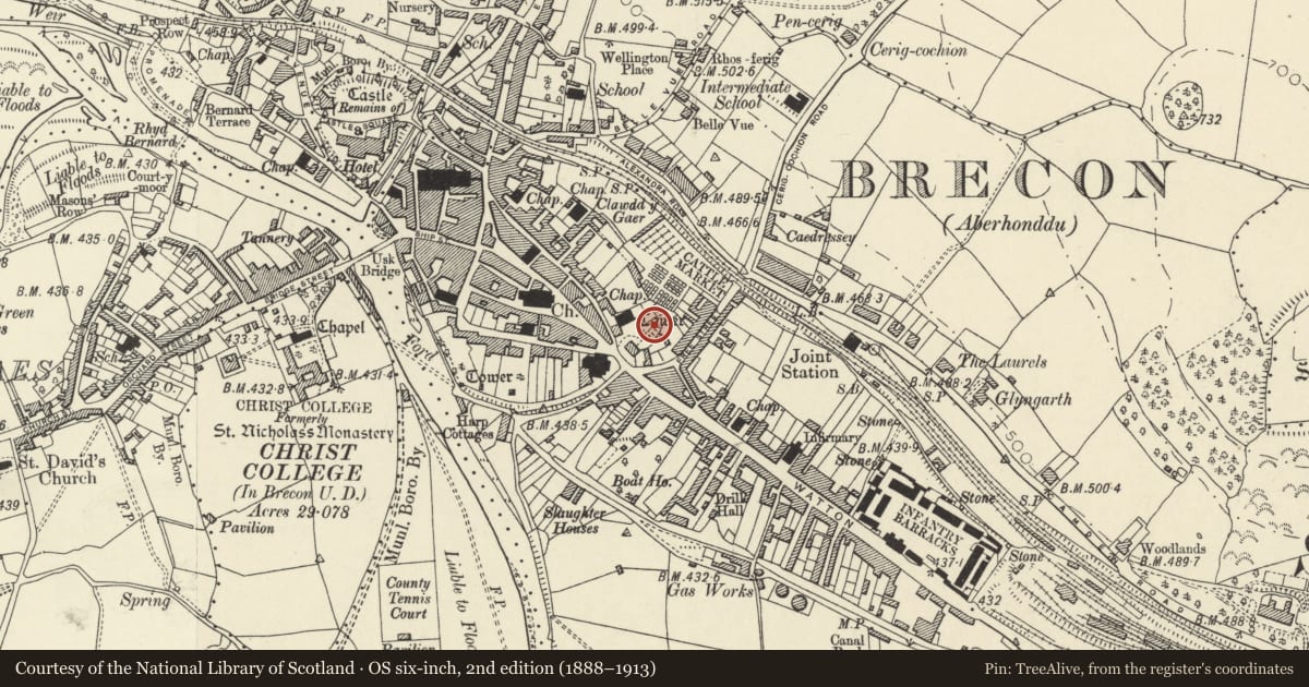 Ordnance Survey six-inch map, 2nd edition (1888–1913) covering the location of Section of Town Wall at Watton Mount, Brecon, Powys, with a pin at the register's coordinates