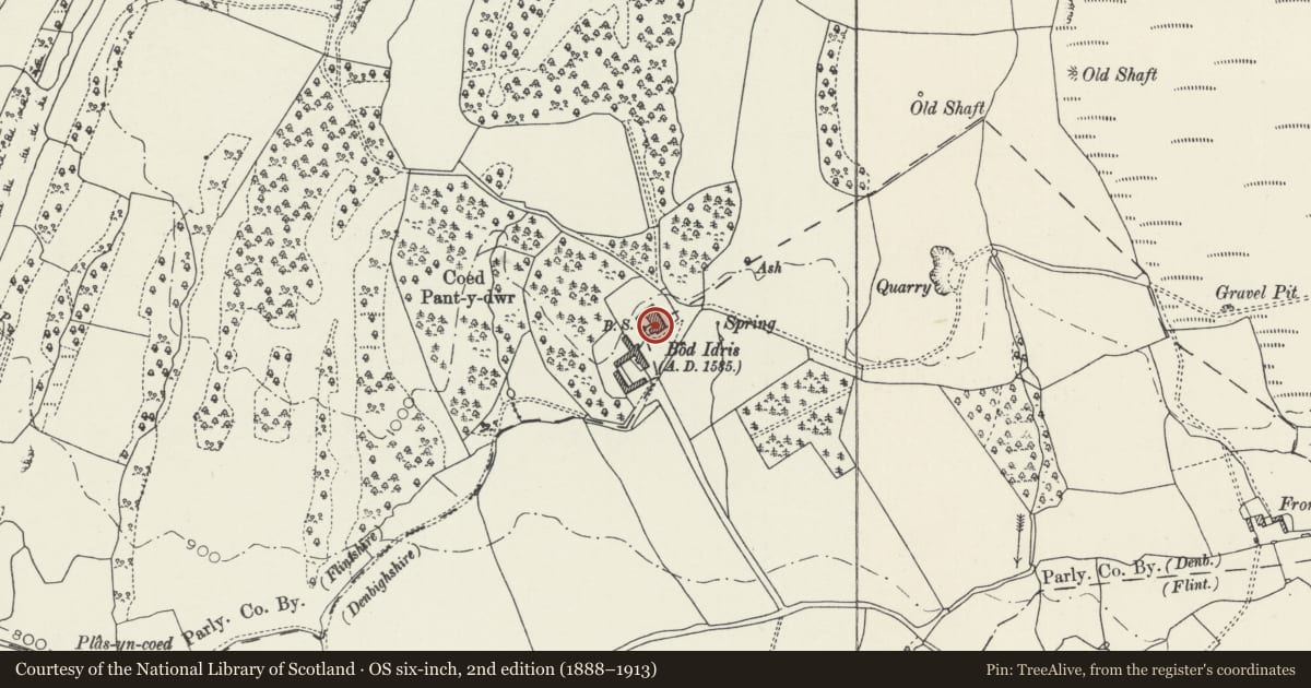 Ordnance Survey six-inch map, 2nd edition (1888–1913) covering the location of Bodidris, Llandegla, Denbighshire, with a pin at the register's coordinates